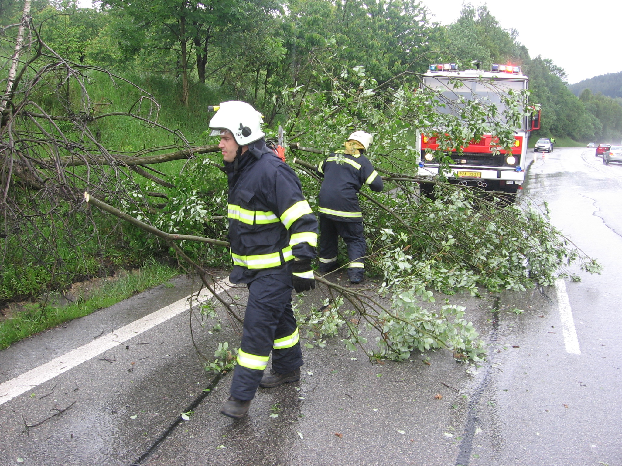 odstranění stromu 29.5.2009 004.jpg